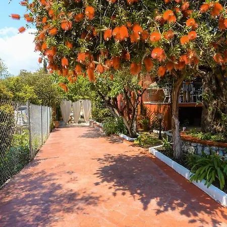 Vila The Red House In